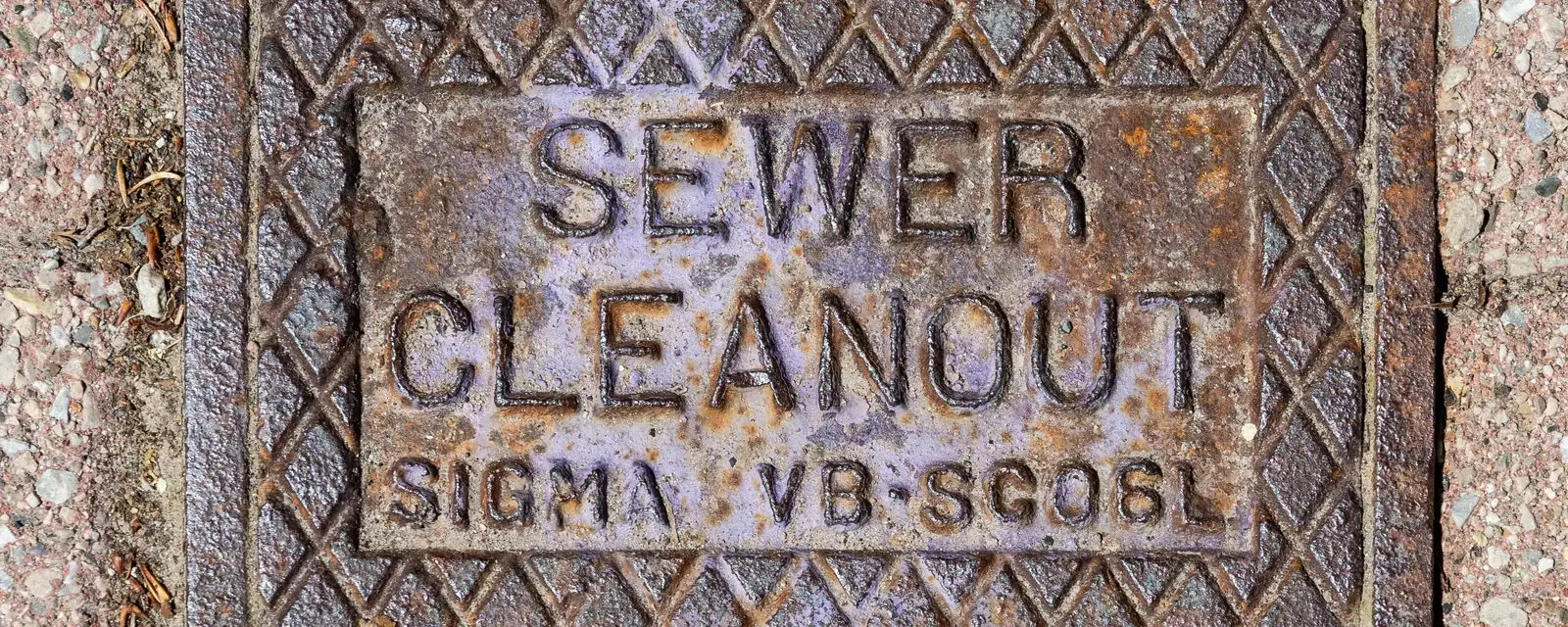 How often should you clean your sewer line topic in Winter Springs, FL